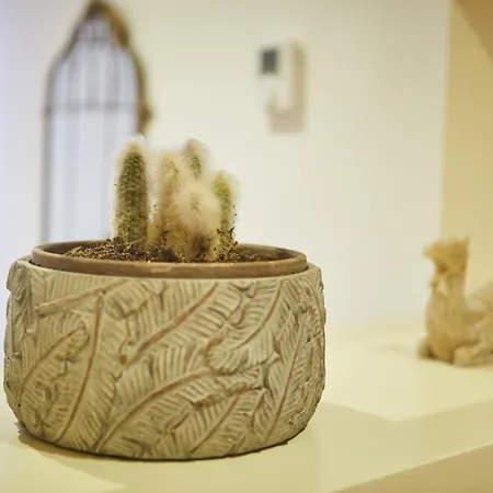 דירה Domo De Maria By Silastur *